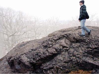 An outcropping of Roxbury Puddingstone on top of Savin Hill. 	Photo by James Hobin